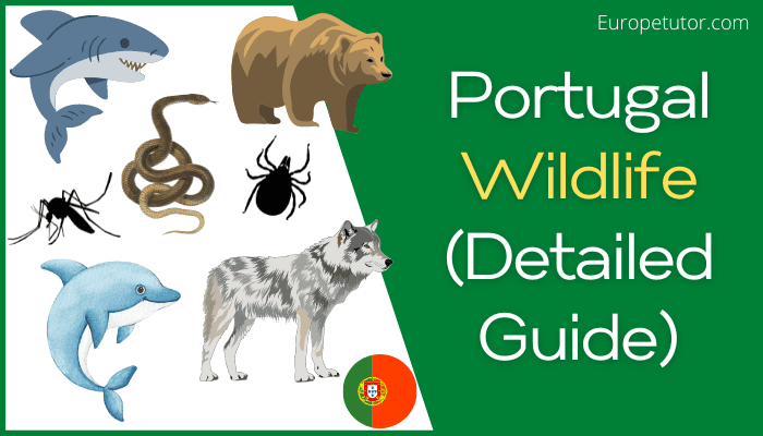 Wildlife in Portugal