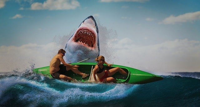 shark attack in Cyprus