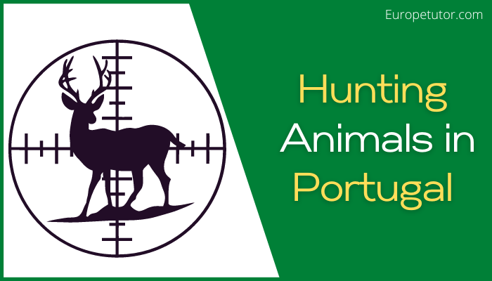 Can You Hunt Animals in Portugal