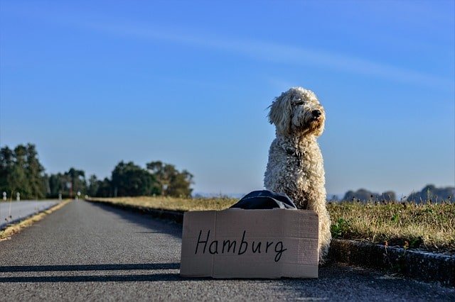 A big cardboard sign with an indication of where you want to go can help
