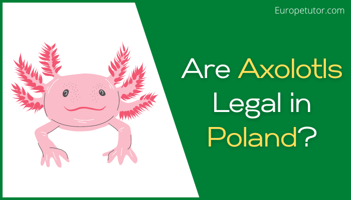 Are Axolotls Legal in Poland?