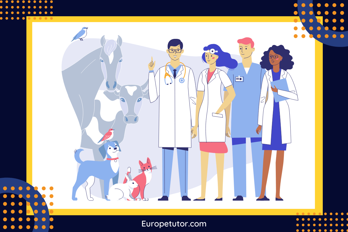 Ear Cropping is illegal across most of the European Countries