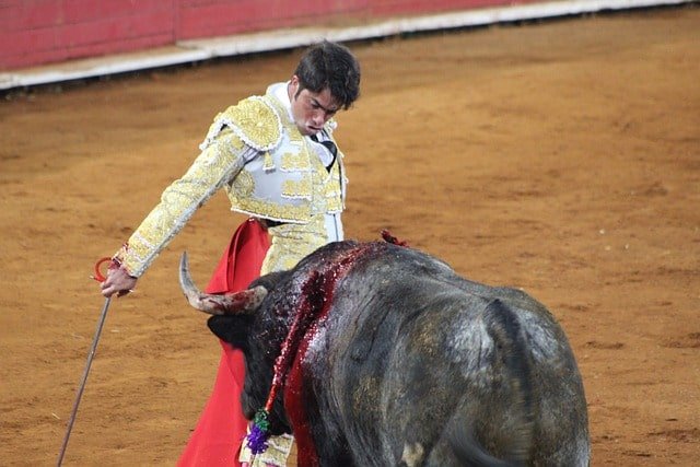 Is Portuguese bullfighting cruel
